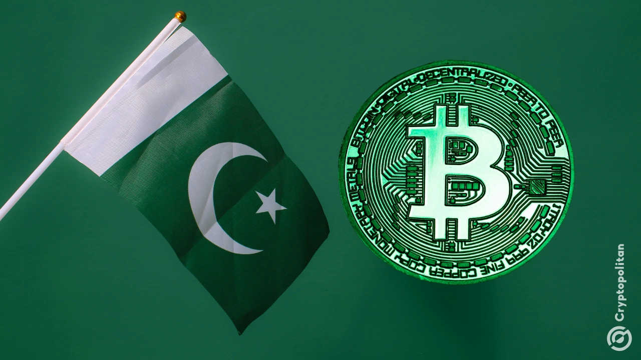 PVARA regulation shaping the future of Pakistani startups in fintech, blockchain, and digital finance